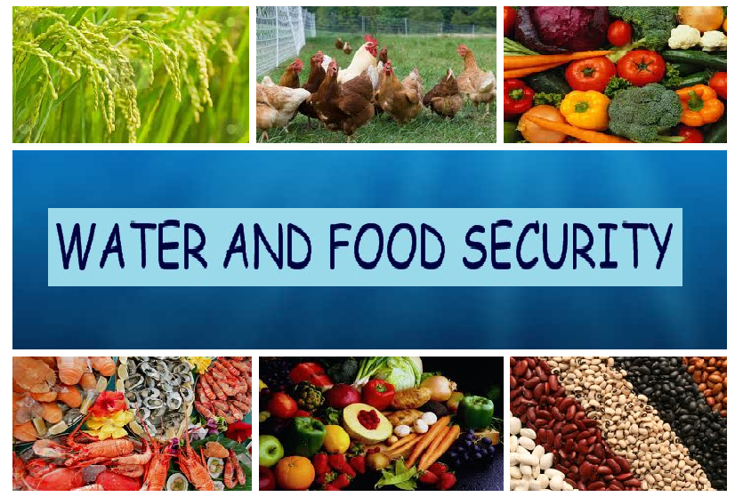 Water and Food Security