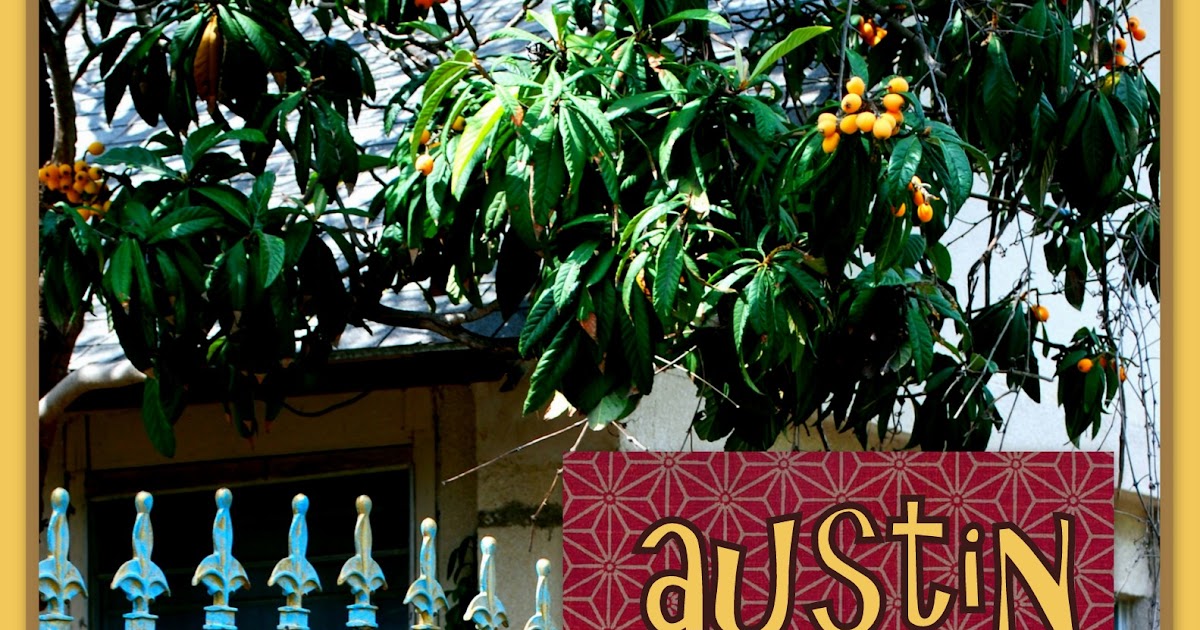 Notes from Maggie's Farm road trip! austin funky chicken coop tour 2012