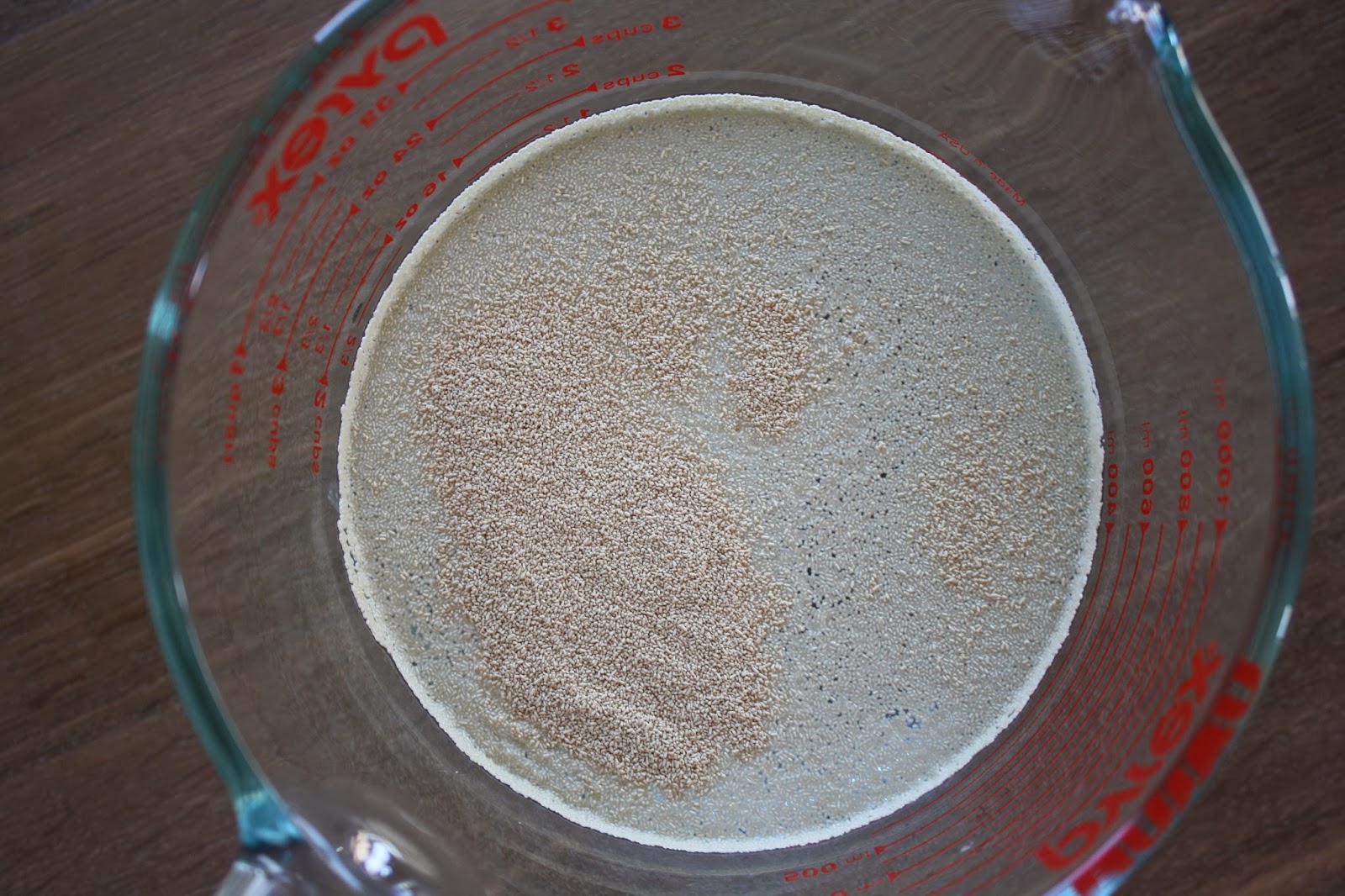 Cooking For A Better Tomorrow Slow Cooker 100 Whole Wheat Bread