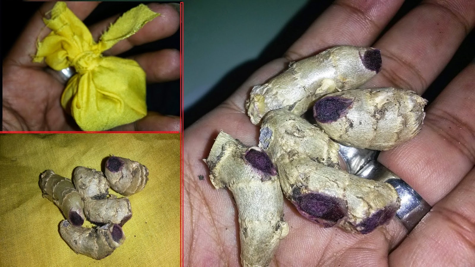 mistik-ajaib.blogspot.com: OFFER NOW!!!!! KUNYIT HITAM ...