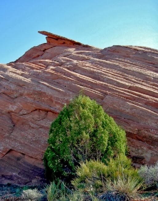 The Southwest Through Wide Brown Eyes Only Thing Flat in Sand Flats is