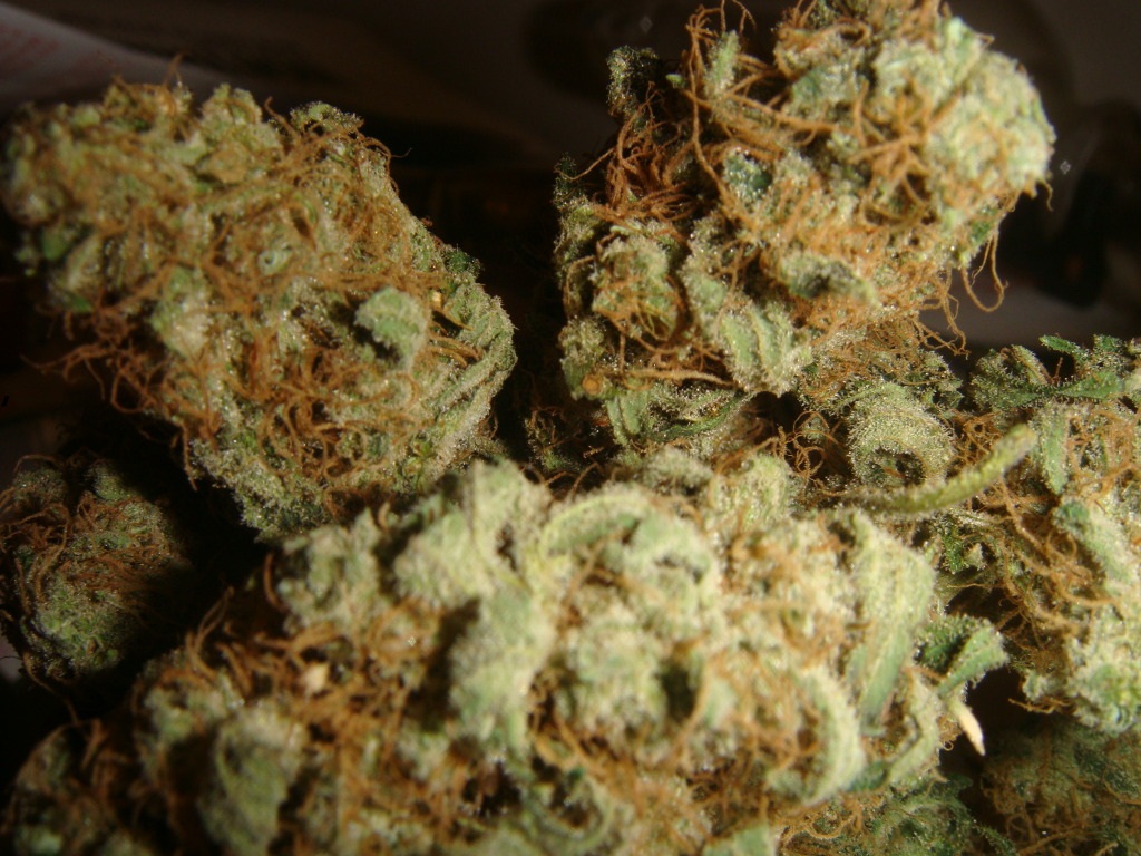 Dank Weed Pictures