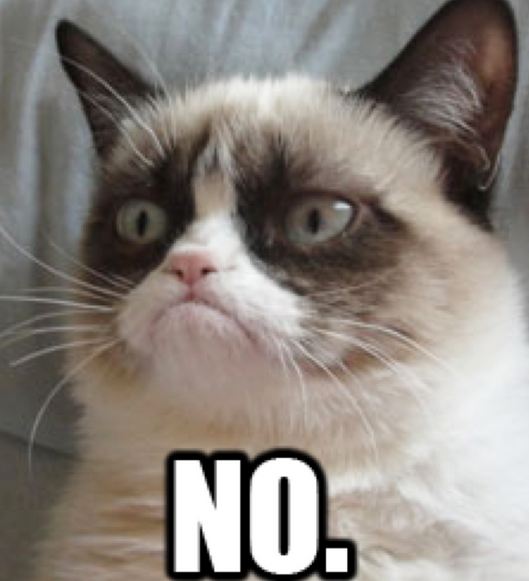 grumpy-cat-NO.JPG