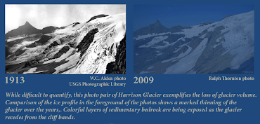 Harrison Glacier