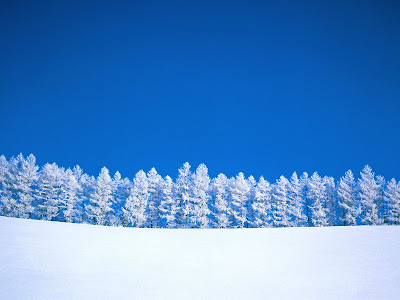 Beautiful Winter Snow Full HD Nature Background Wallpaper for Laptop Widescreen