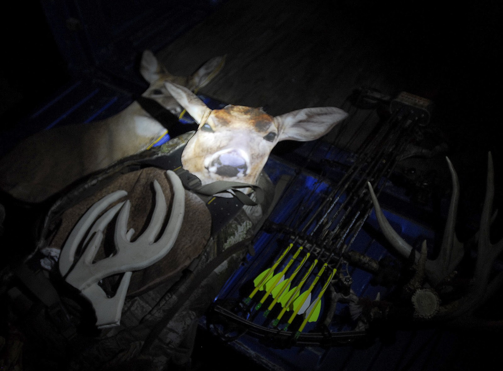 Whitetail PreRut Tactics for Early Season Success Heads Up Decoy