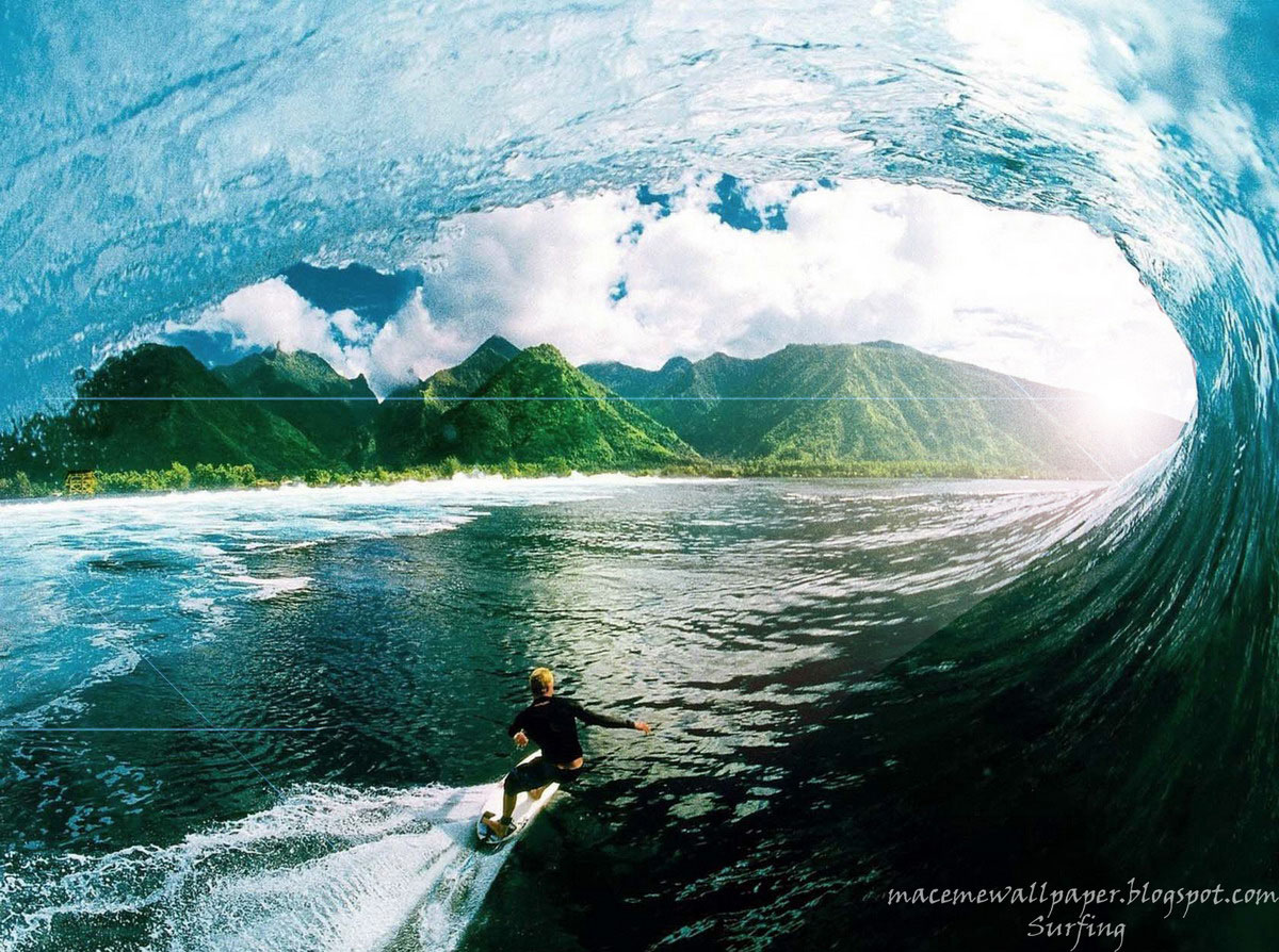 Reef Surfing Desktop Wallpaper | PicsWallpaper.com