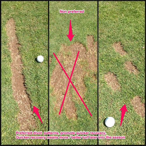 CCD Greens Department Range Divot Pattern