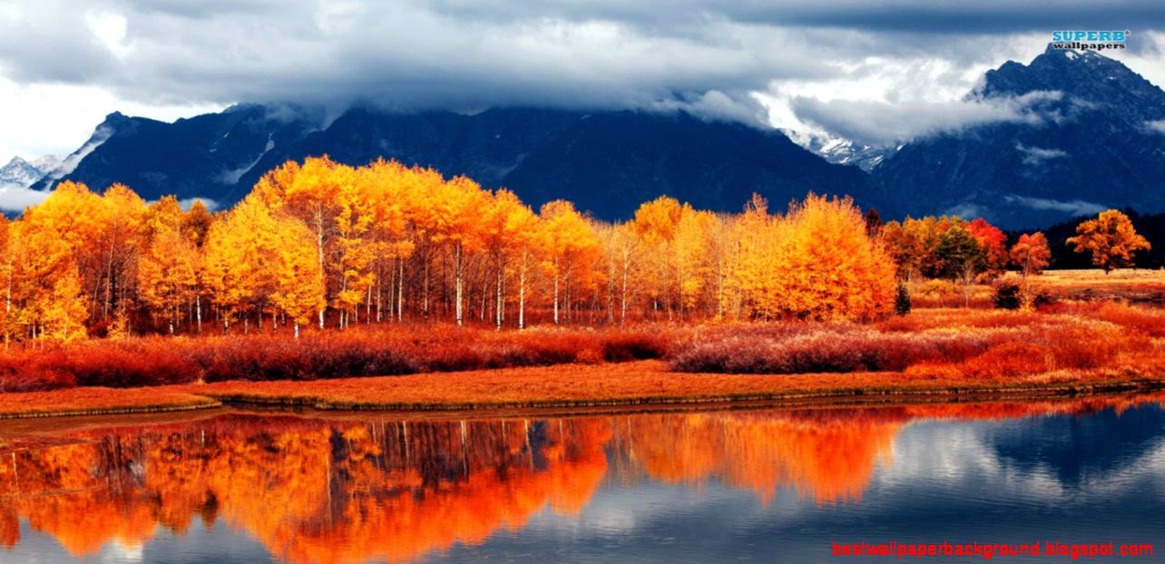 Orange Autumn Landscape Awseome 1366 x 768 For Monitors Orange Autumn Landscape Awseome 1366 x 768 For Monitors
