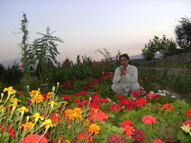 Paghman Kabul