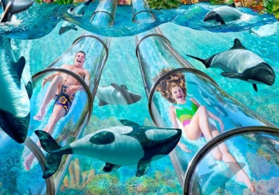 Travel Usher: SeaWorld Orlando Water Theme Park
