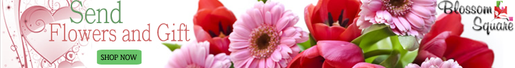 BlossomSquare-send flowers online