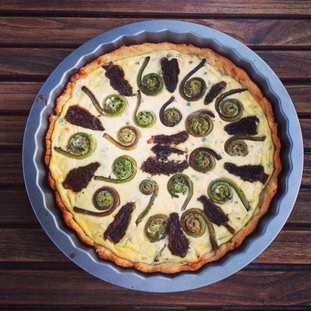. Morel and Fiddlehead Fern Tart