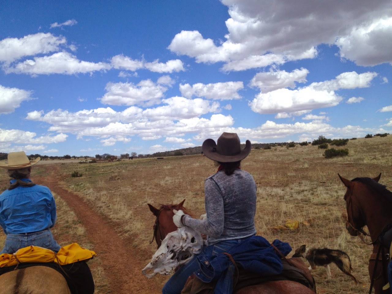 Texas Mountain Trail Daily Photo Texas Horseback Adventures