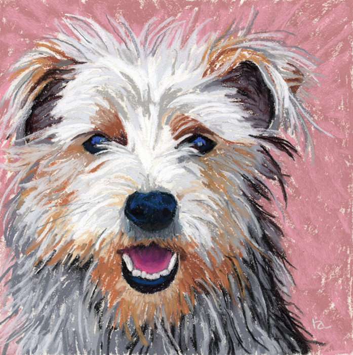 Yorkshire Terrier pastel painting SOLD ria hills