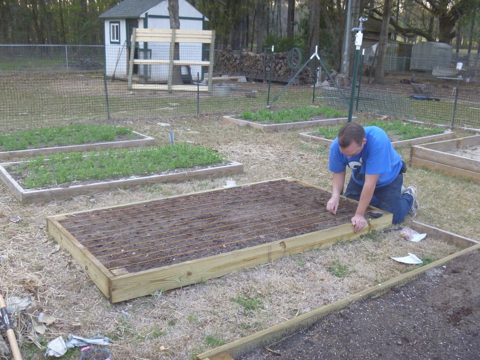 The Corray's Home Planting Onion Sets
