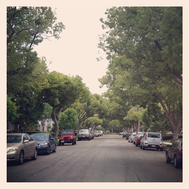 Adventures in House Hunting - Tree Lined Suburbia Street