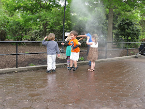 Playing at the National Zoo.