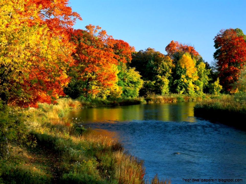 download 1024x768 beautiful red leaf Canada scenery wallpaper download 1024x768 beautiful red leaf Canada scenery wallpaper