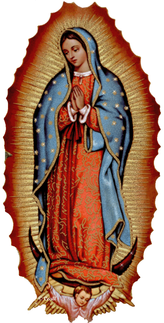Imagenes De Nuestra Virgen De Guadalupe | im 225 genes de cecill nuestra se 241 ora de guadalupe animadas Imagenes De Nuestra Virgen De Guadalupe | im 225 genes de cecill nuestra se 241 ora de guadalupe animadas
