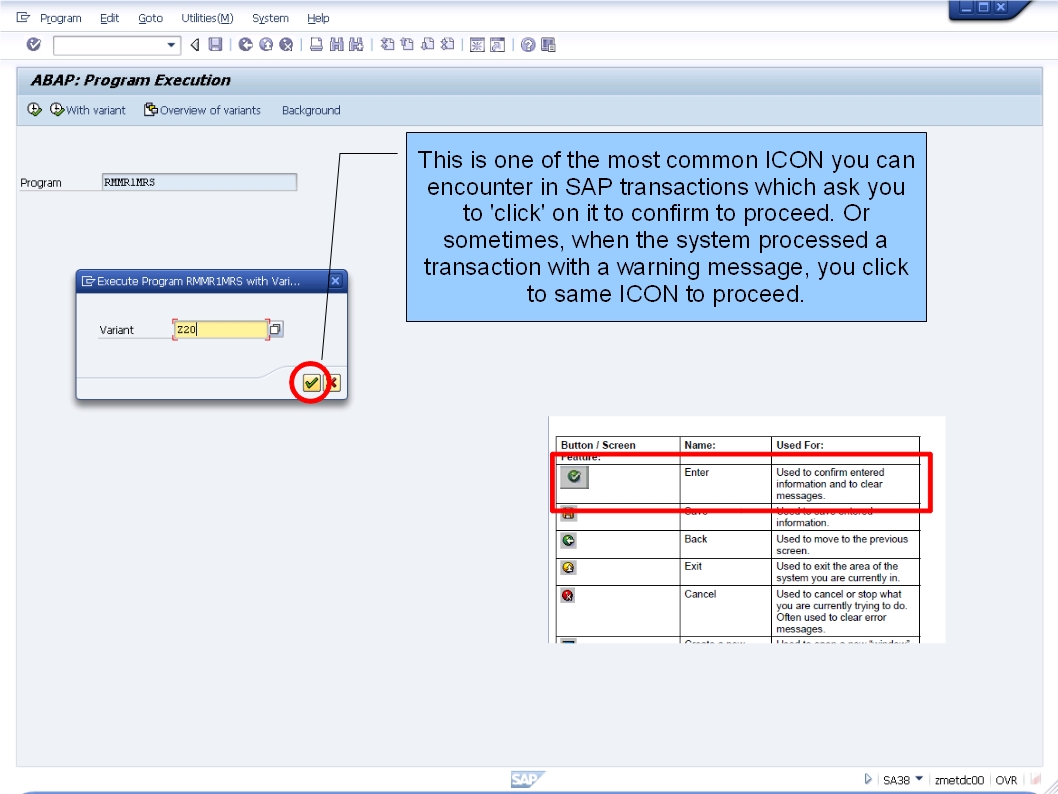 青蛙SAP分享 Froggy's SAP insights N13 SAP Buttons/ICONS Explained