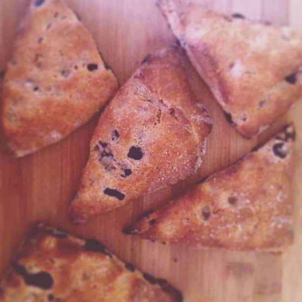 come deliciosos! Whole Wheat Blueberry Scones