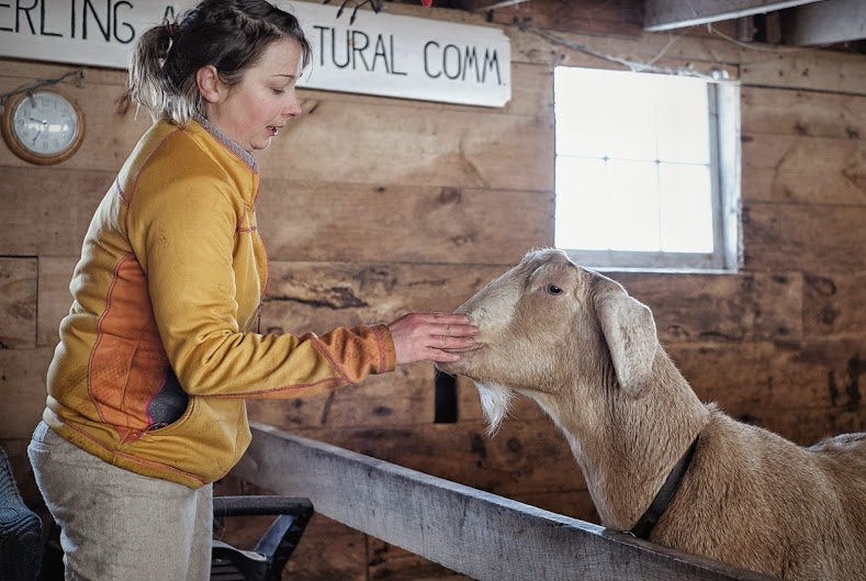 Connecting with our food raw milk from Buttercup Farm