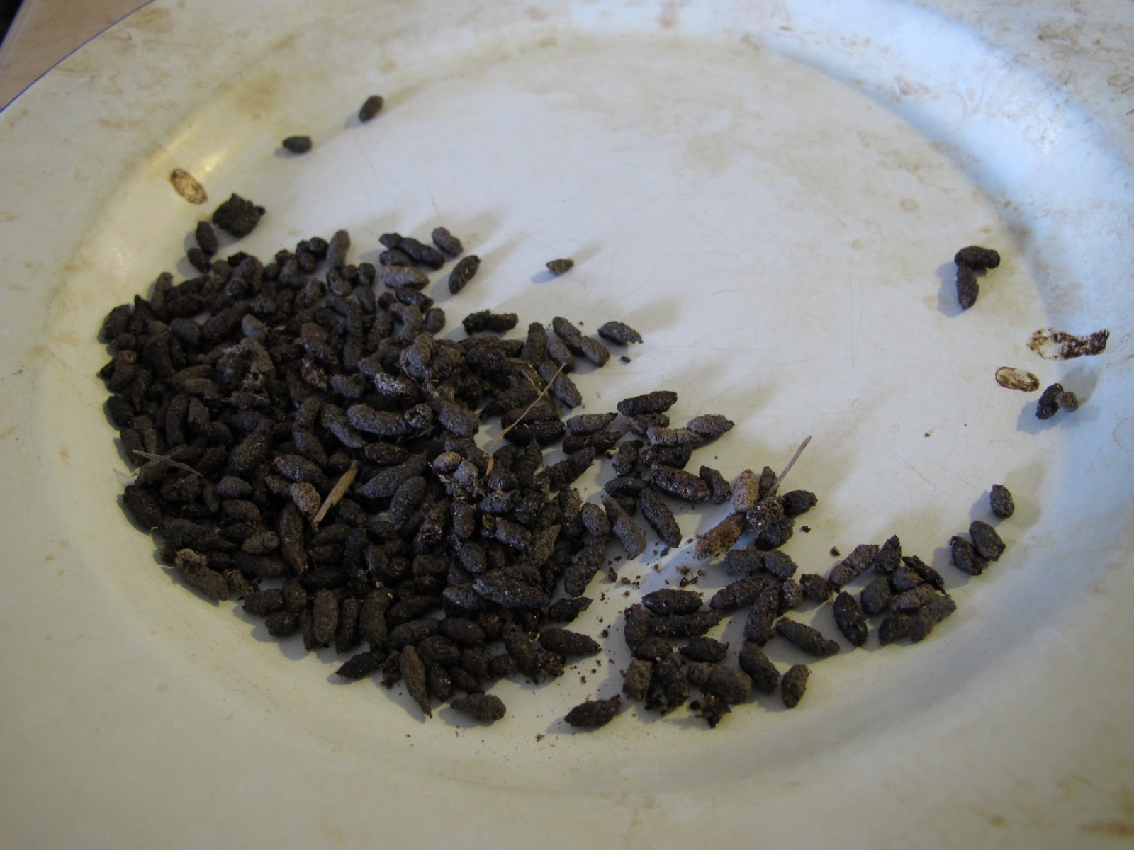 The Lyons Share The Crumble Test