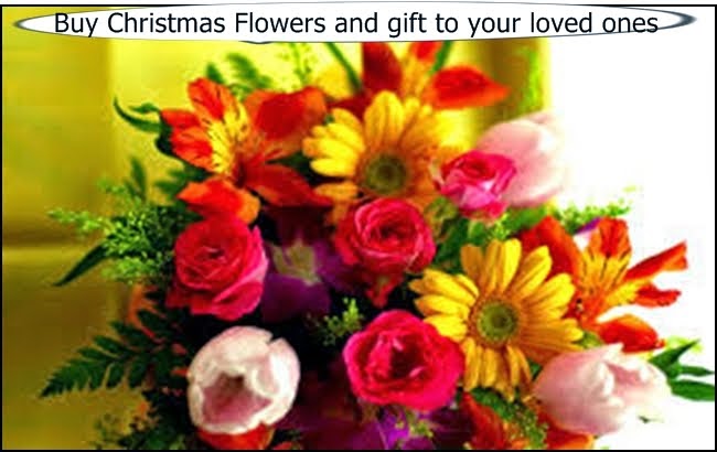 Buy Christmas flowers to greet your loved ones