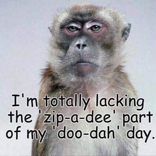 Cards4ubyLouise and Other Treasures A ZipaDeeDooDah Day