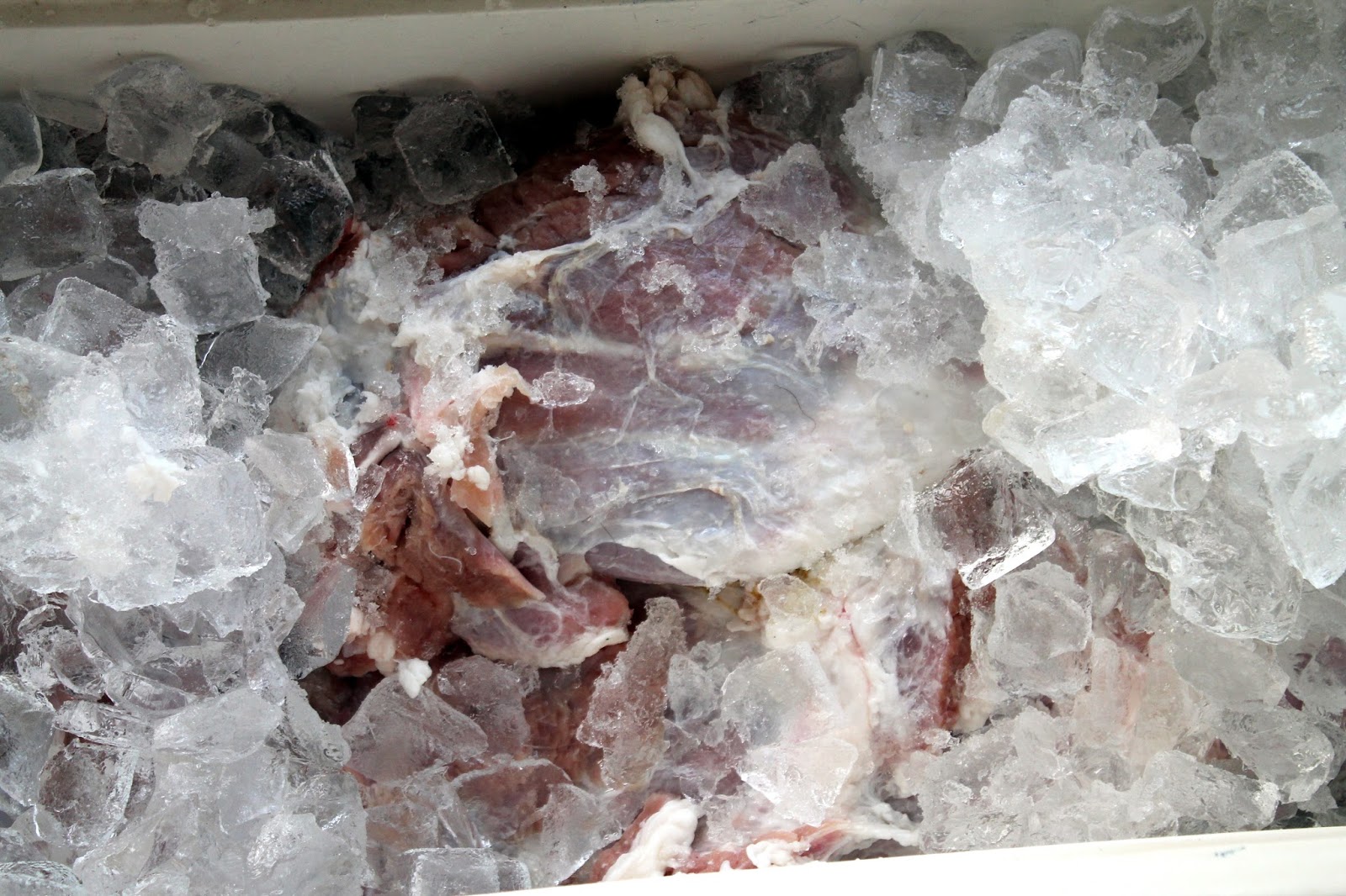 Man That Stuff Is Good! How to Cook A Goat For A Goat Stew