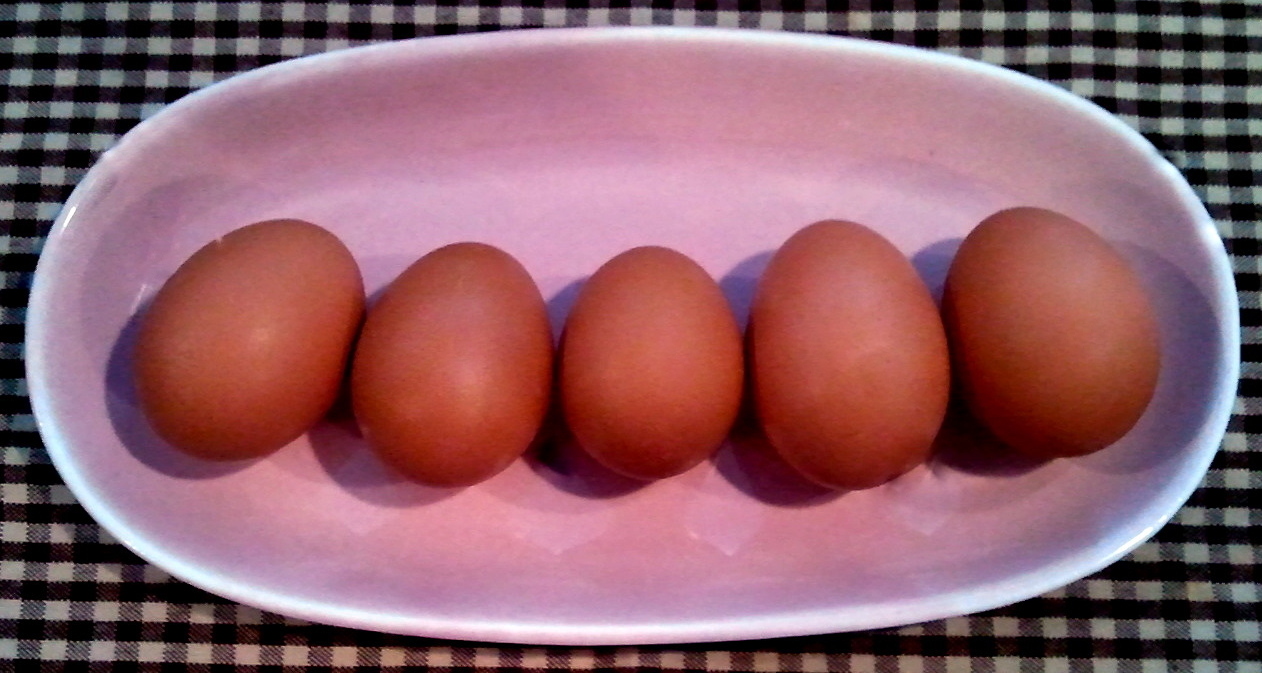 A Rainbow of Egg Colors Fresh Eggs Daily®