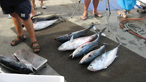 Pesca CN Oropesa