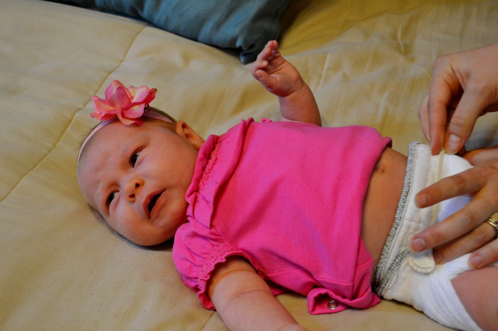 Ashley's Green Life Going Green...One Diaper Change at a Time!