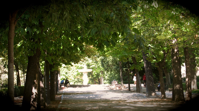 fresh path at the Retiro park in Madrid