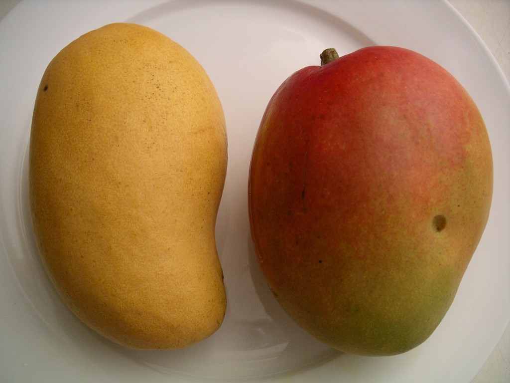 Just me, babbling about food Champagne anyone? (not that kind)