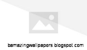 Baiji Dinopedia the free dinosaur encyclopedia Wikia Baiji Dinopedia the free dinosaur encyclopedia Wikia