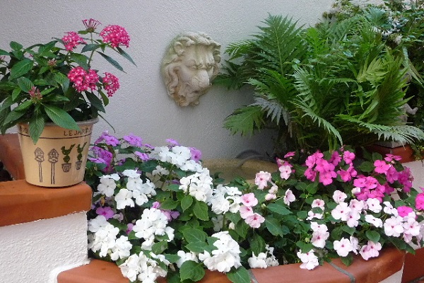 Un patio muy acogedor - Guia de jardin