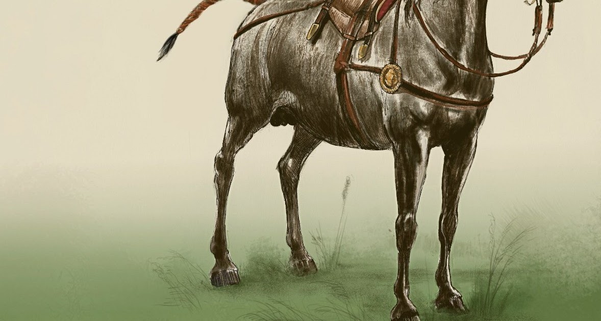 Dariusz caballeros Ancient Eurasian Nomad Horse saddle and bit