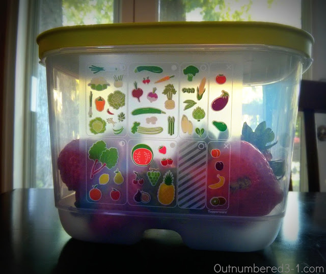 Keeping things Fresh with Tupperware FridgeSmart Containers