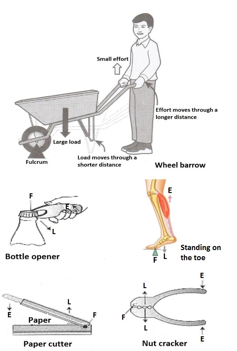 Essay on levers image