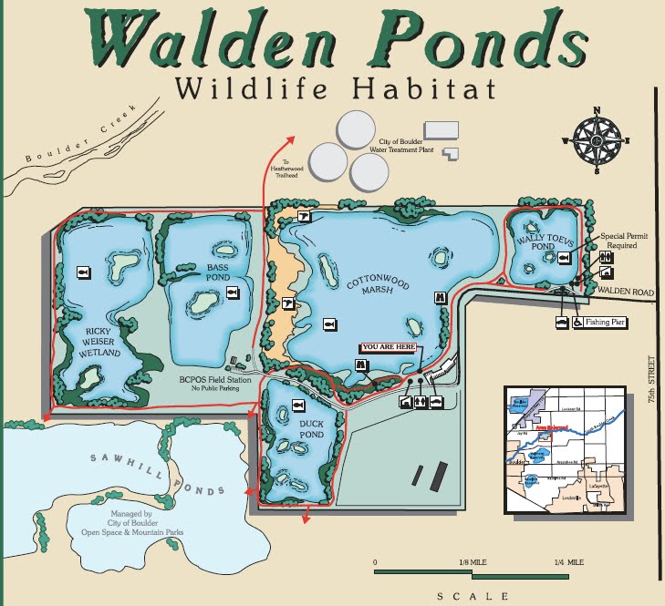 Colorado Lifestyle Walden Ponds Ducks Unlimited