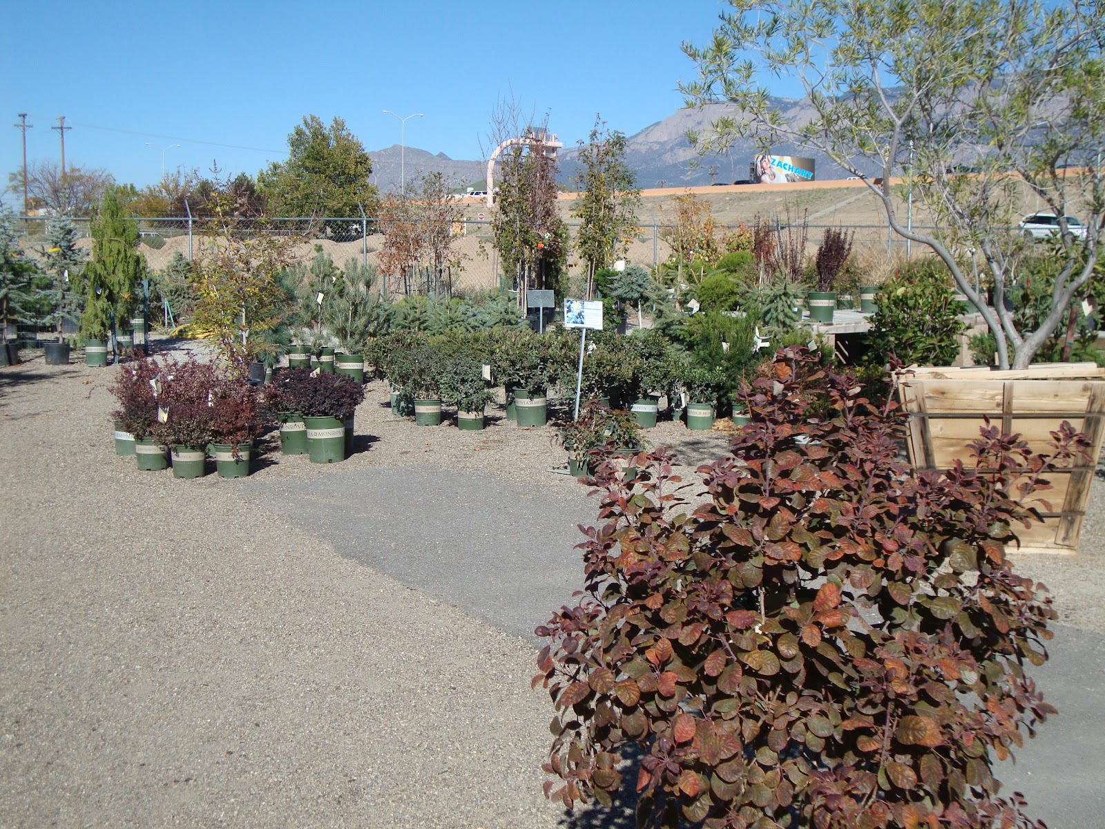 danger garden High Country Gardens, Albuquerque