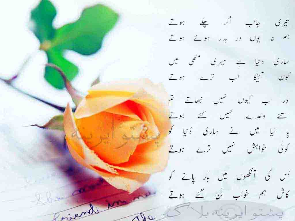 Poetry Log Best Urdu Poetry Wasi Shah Poetry