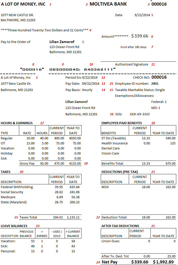 direct deposit pay stub template
