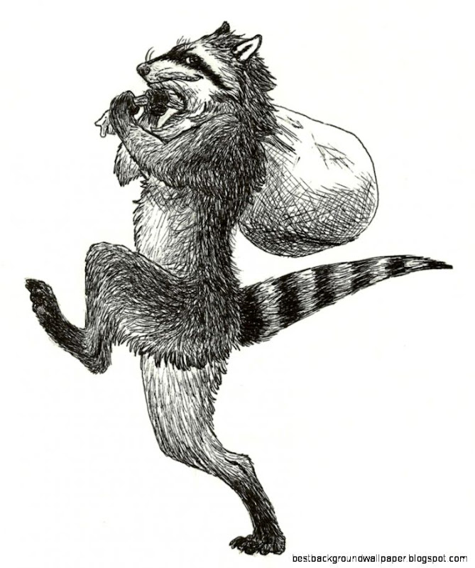 Raccoon Bandit by TheIncredibleHibby on DeviantArt Raccoon Bandit by TheIncredibleHibby on DeviantArt