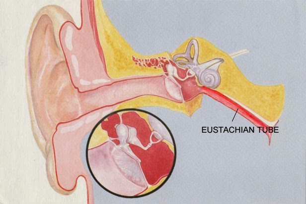 blocked eustachian tube finger sweep blocked eustachian tube finger sweep