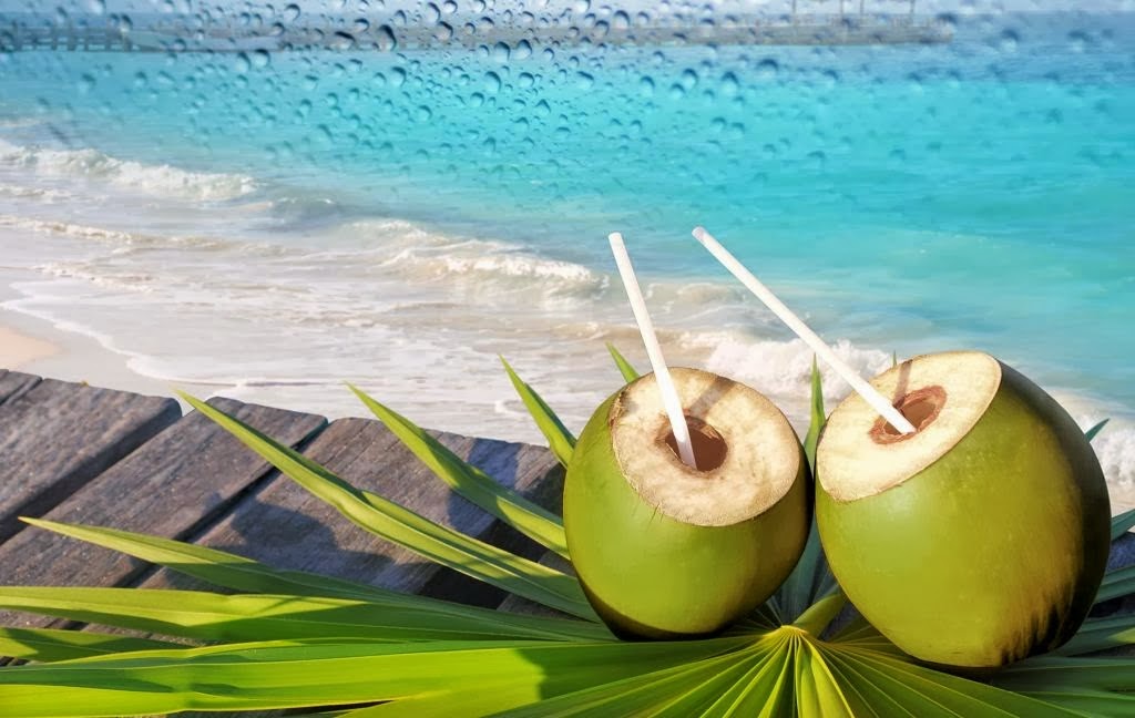 Manfaat air Kelapa untuk Kesehatan Manfaat air Kelapa untuk Kesehatan