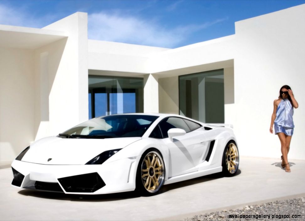 Wallpapers Lamborghini Gallardo Imsa 1024x768 219207 Wallpapers Lamborghini Gallardo Imsa 1024x768 219207