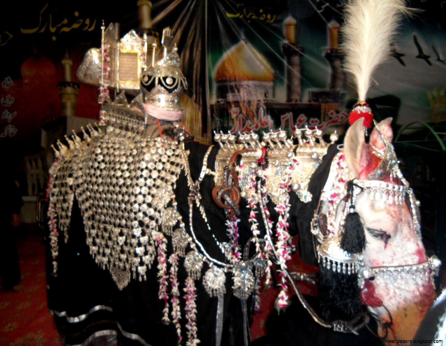 Zuljinah Wallpaper Zuljinah Wallpaper